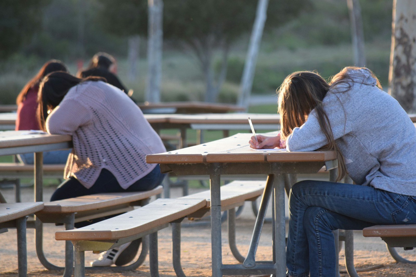 woman in blue denim jeans sitting on brown wooden picnic table